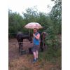 Parasol - 64691120_2231080860323329_66675789562642432_n.jpg