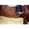 3 punkty - equestrian-g61b039463_1920.jpg