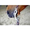 Split reins - jakość - horse-1354909_1920.jpg