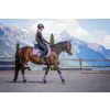 Pady, ochraniacze itp. - horse-gd8e284657_1920.jpg