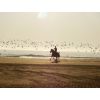 Jeździmy - horse-riding-g928947cad_1280.jpg